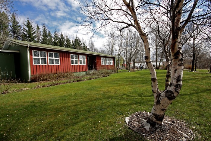 Á dagskrá Fagráðstefnu er m.a. ferð að Mógilsá. Mynd: Brynja Hrafnkelsdóttir.