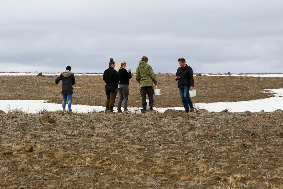 Starfsfólk Skógræktarinnar og Landgræðslunnar að störfum við samvinnuverkefni í skógrækt og landgræð…
