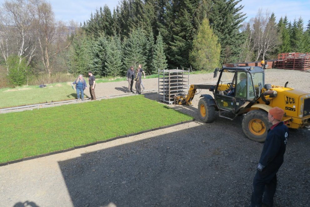 Starfsfólk Skógræktarinnar á Hallormsstað tekur á móti stærstu sendingu af skógarplöntum sem Sólskóg&hellip;