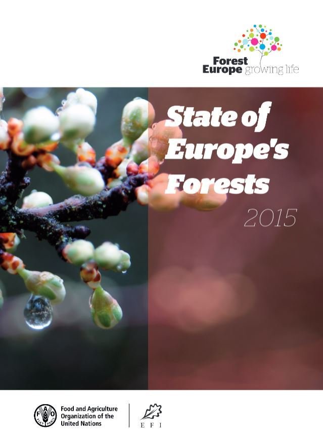 Ný skýrsla um ástand skóga Evrópu