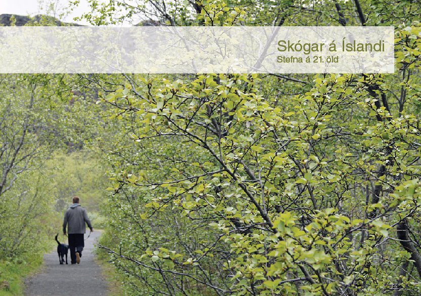 Skógar á Íslandi: Stefna á 21. öld