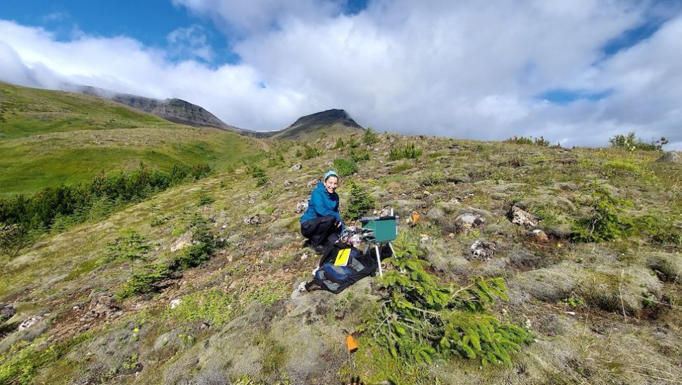 Christine Palmer við mælingar á rýru og rofnu landi í Esjuhlíðum þar sem gróðursett hefur verið gren…