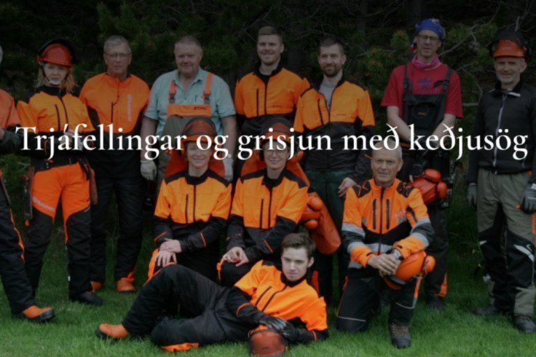 Tvö pláss laus á keðjusagarnámskeið í janúar