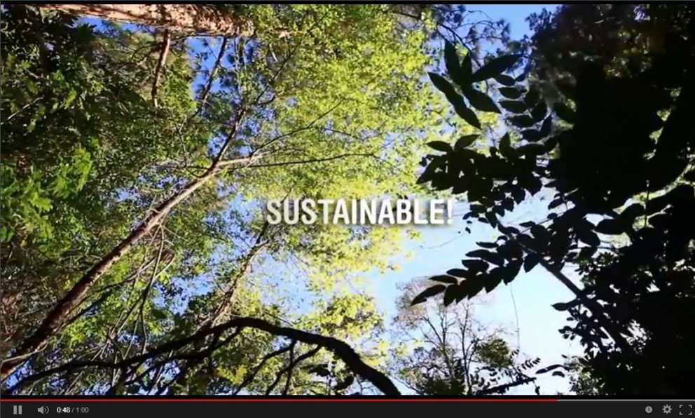 Alþjóðlegur dagur skóga í dag