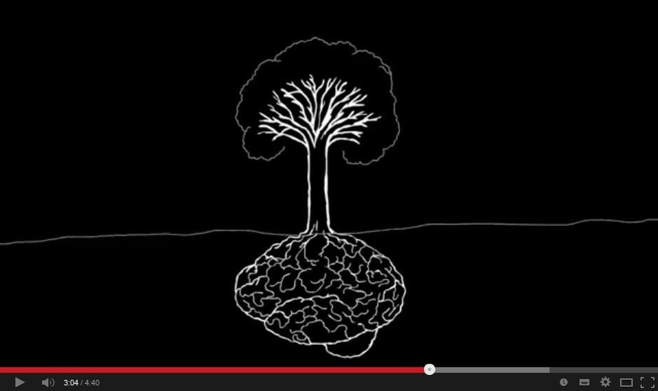 Geta tré talað saman?