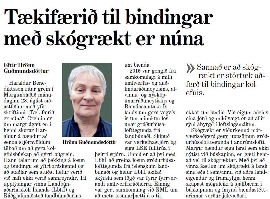 Tækifærið til bindingar með skógrækt er núna