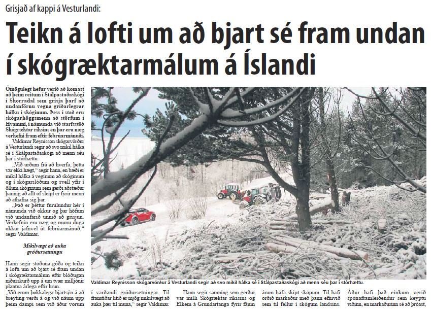 Teikn á lofti um að bjart sé fram undan í skógræktarmálum á Íslandi