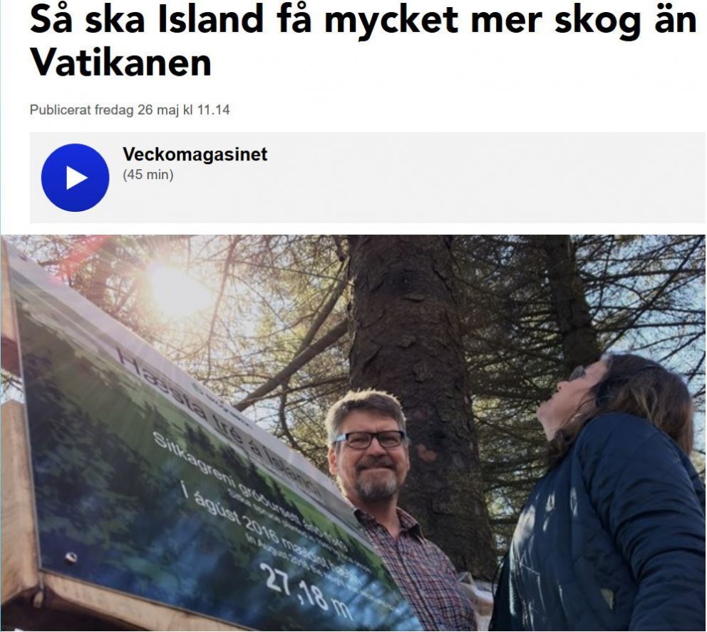 Hvergi minni skógur í Evrópu nema kannski í Vatíkaninu