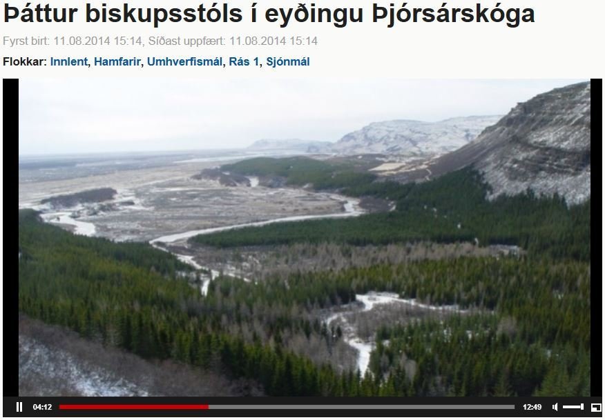 Eyðing Þjórsárdalsskóga rædd í Útvarpinu