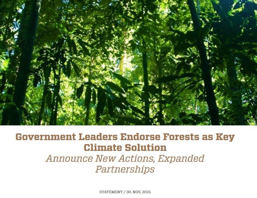Þjóðarleiðtogar segja skóga lykillausn í loftslagsmálum
