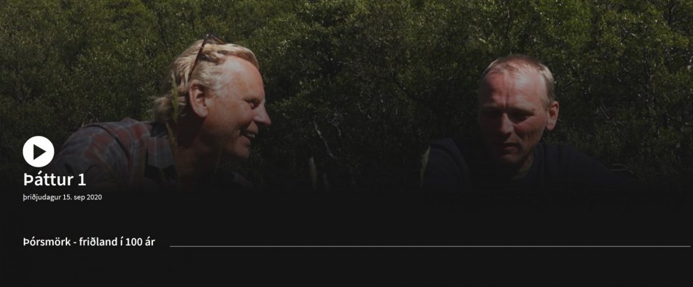 Sigmundur Ernir Rúnarsson ræðir m.a. við Hrein Óskarsson, sviðstjóra þjóðskóganna hjá Skógræktinni, …