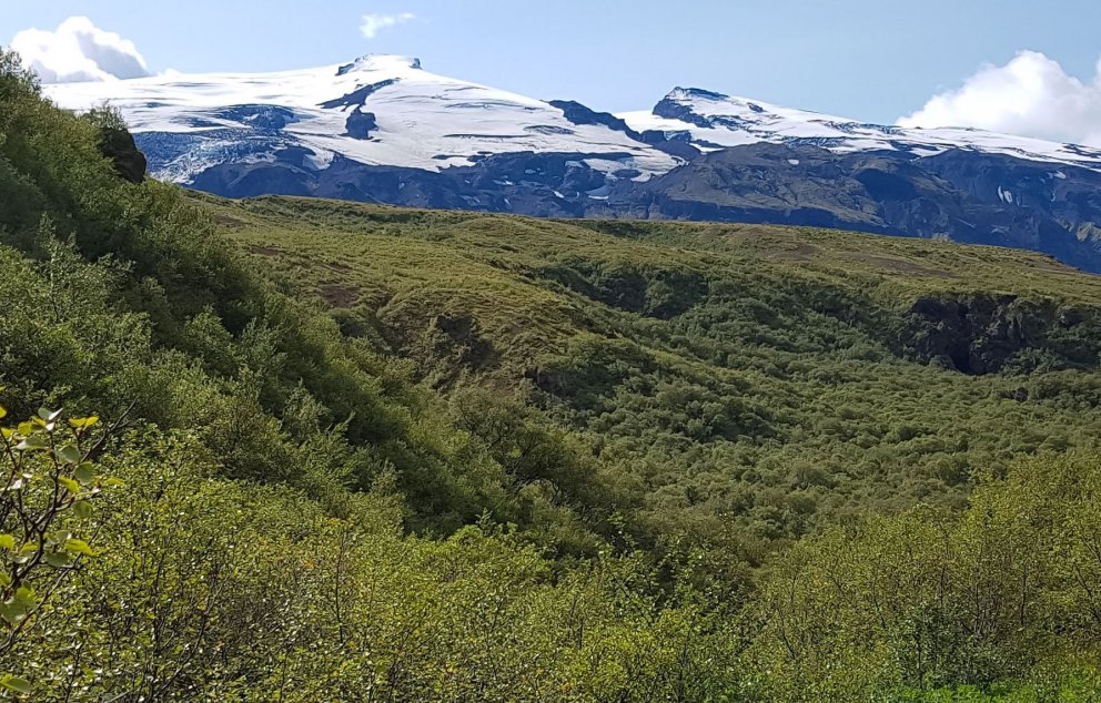 Sáralítill gróður sást frá þessu sjónarhorni í Langadal á Þórsmörk fyrir 60 árum. Nú vex birki og an…