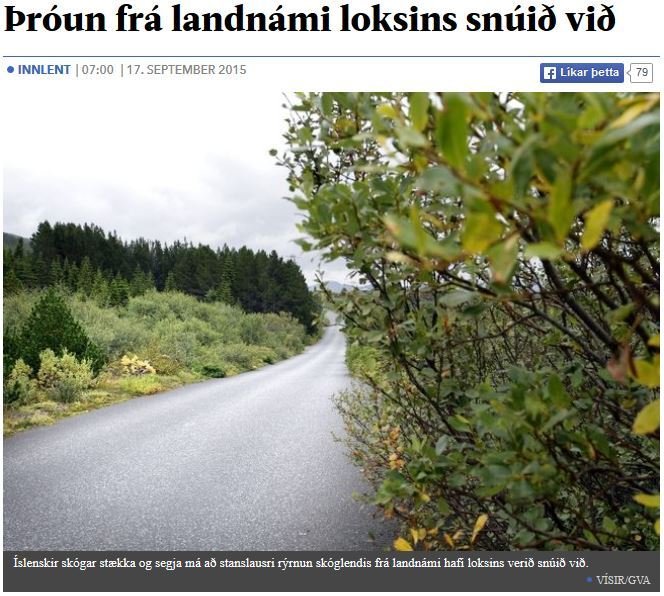 Viður alltaf verðmætari og verðmætari