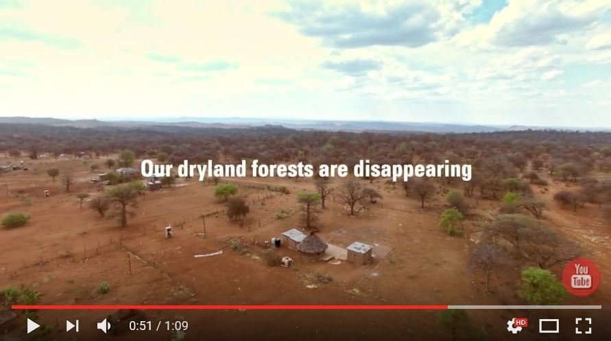 Í þessu myndbandi frá FAO er vakin athygli á því að þurrlendisskógar jarðarinnar hverfa hratt. Þeirr…