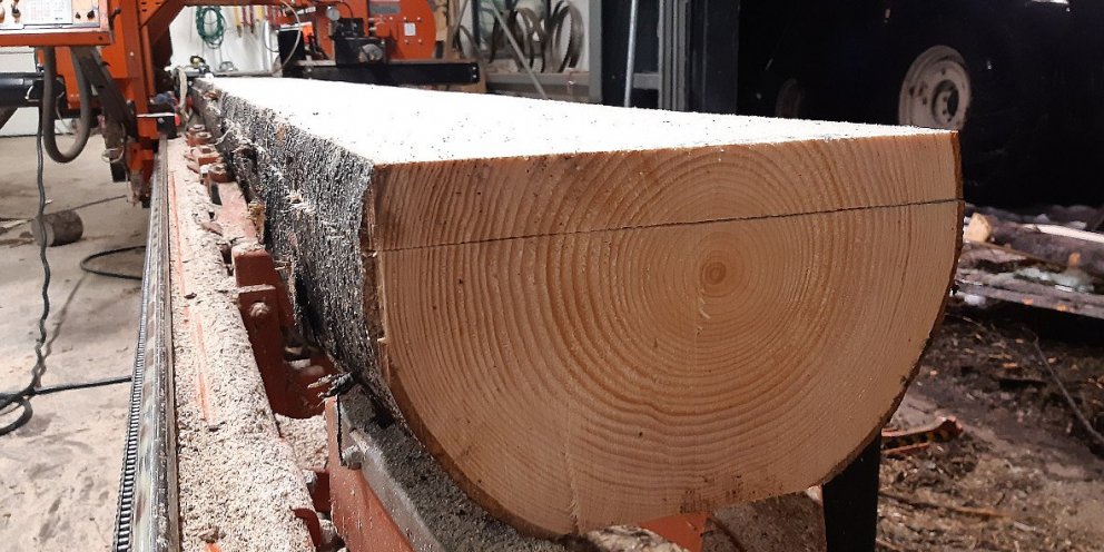 Þykkur gæðaplanki og fallegir árhringir úr sextugum sitkabastarði sem nú gefur timbur til viðgerðar …