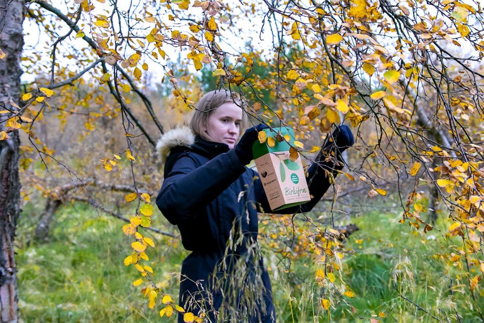 Enn er nóg af birkifræi og fram undan gott veður til að tína. Hjálpumst að við að ná markmiðum ársin…
