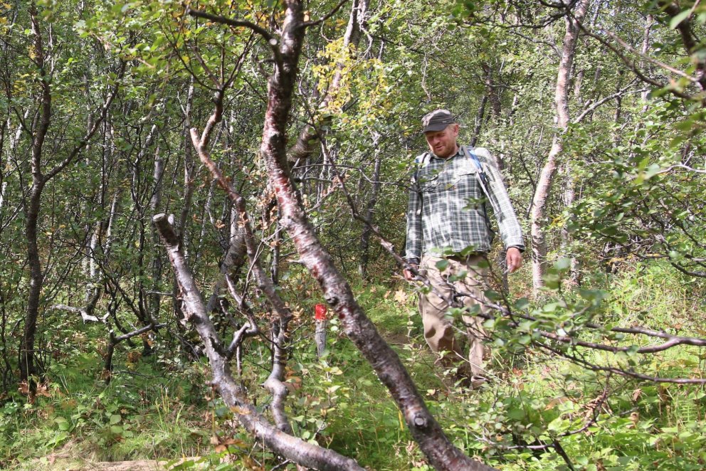 Charles J. Goemans, verkefnastjóri stígaviðhalds, á einum þeirra göngustíga sem sjálfboðaliðar sjá u…