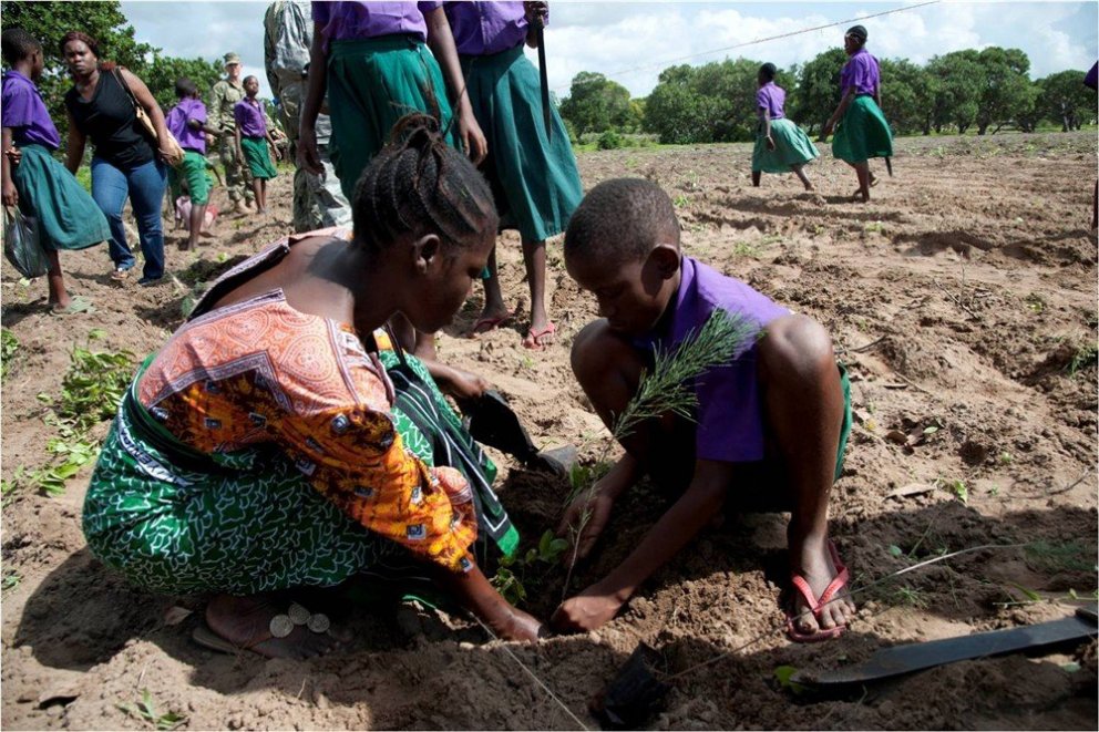 Gróðursetning í Afríku. Ljósmynd CJTF-HOA/Sgt. Andrew Caya