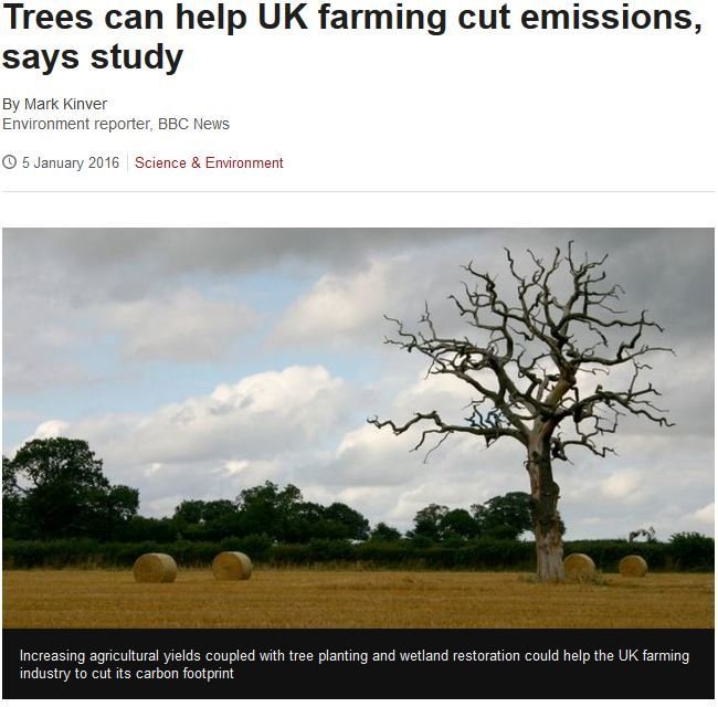 Tré geta bætt kolefnisbúskap landbúnaðar