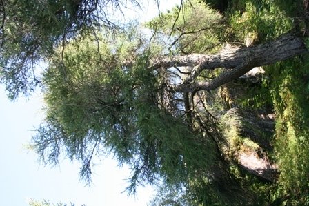 Mynd: Laufey B. Hannesdóttir