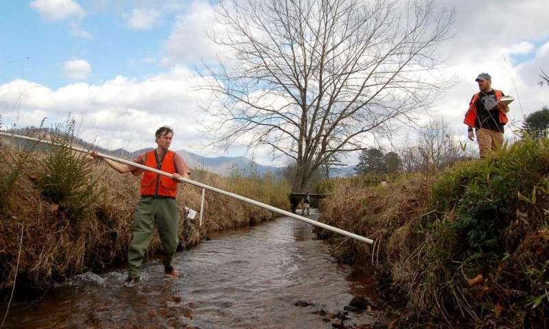 Rhett Jackson, til vinstri, og Nik Heynen, til hægri, prófessorar við Georgíu-háskóla við mælingar á…