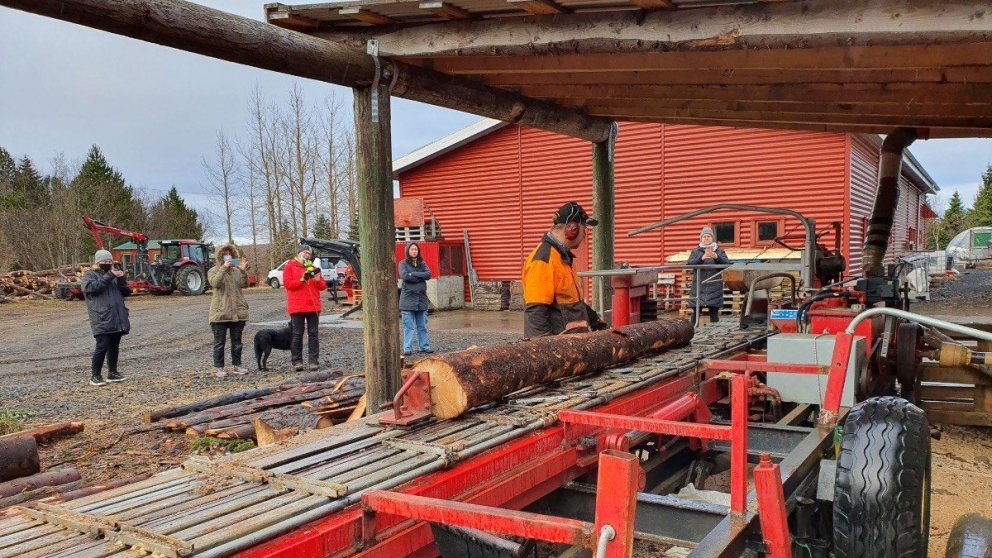 Trésmíðanemar úr Tækniskólanum fylgjast með flettingu á trjábol í sögunarmyllu Skógrkæktarfélags Rey…