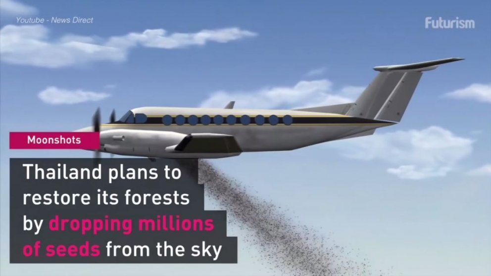 Fræbombur til skóggræðslu