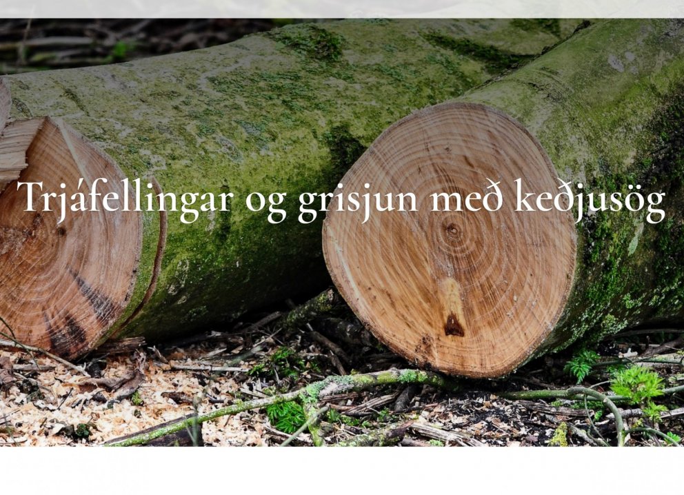 Aukanámskeið á keðjusög vegna mikillar aðsóknar