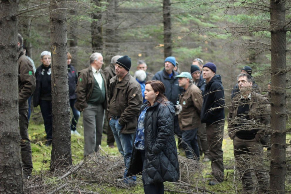 Icelandic Forest Service staff on excursion in a 50 year old Sitka spruce stand in Tumastaðir South-…