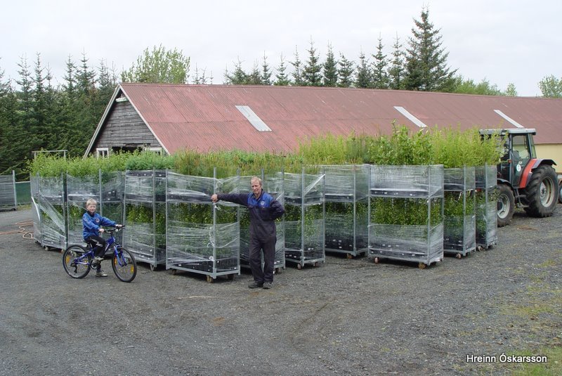 (mynd: Hreinn Óskarsson)