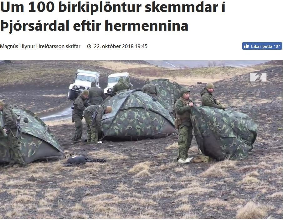 Skjámynd úr frétt Stöðvar 2