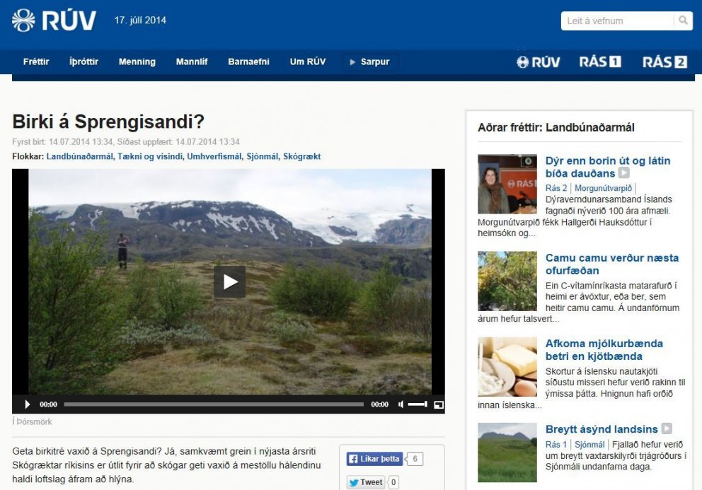 Þjóðgarðsvörður vill stöðva skógrækt í nokkur ár