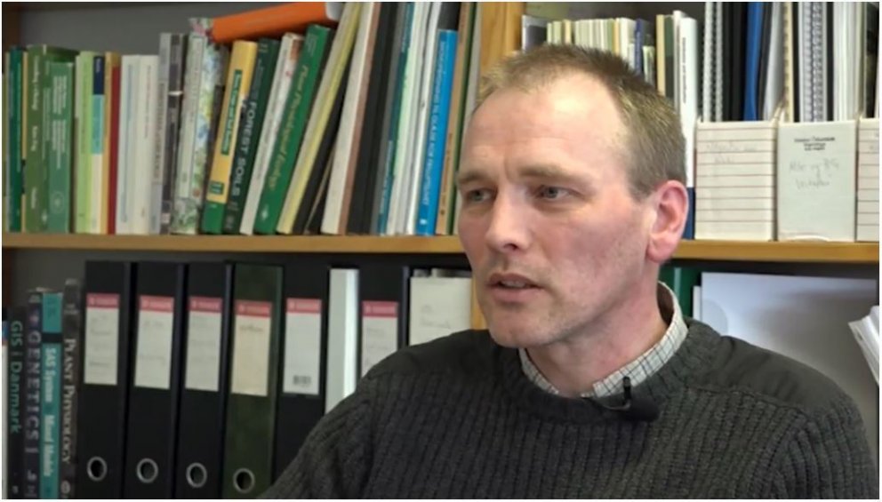 Nægt getur að bera kjötmjöl einu sinni á örfoka land til að koma þar af stað framvindu sem gerir kle…