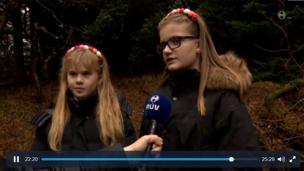 Það getur borgað sig að láta í sér heyra ef skóglendi er í hættu. Tvær ellefu ára stúlkur í Grafarho…