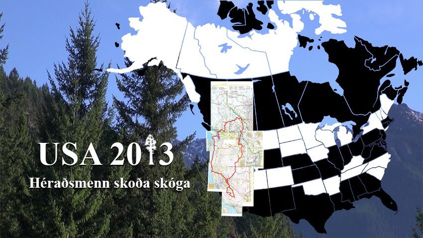 Sextán myndbönd úr Ameríkuferð skógarfólks