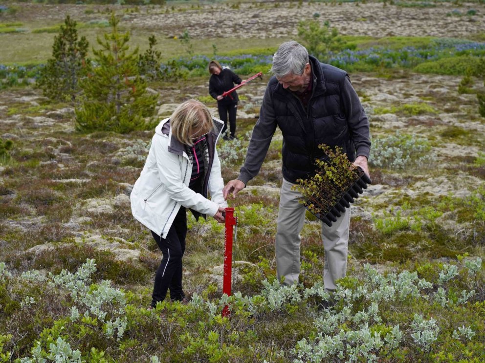Birki gróðursett á Vatnsendahæð á útivistar- og fjölskyldudegi Skógræktarfélags Kópavogs. Félagið he…