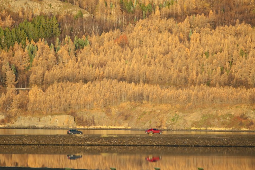Losun og binding. Ljósmynd: Pétur Halldórsson