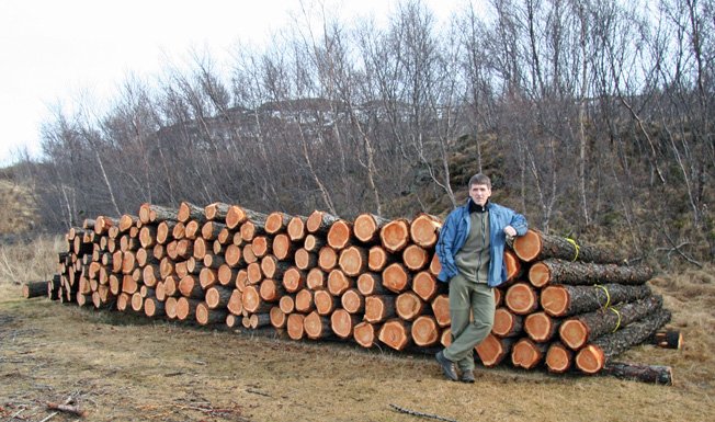 Afurðastöð með nytjavið