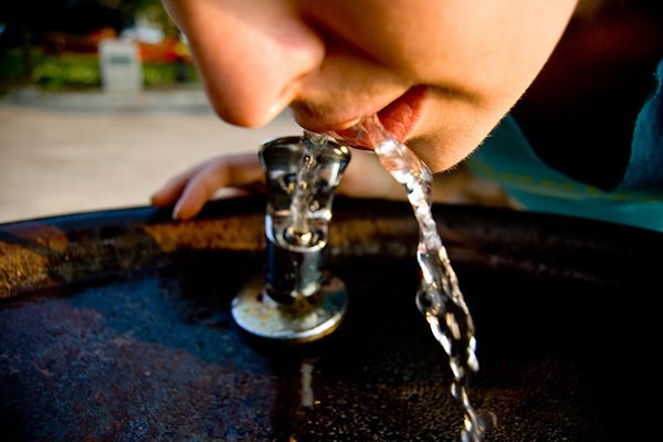 Ferskvatnsbirgðir jarðarinnar standa og falla með skógum heimsins. Með skógrækt stuðlum við að því a&hellip;