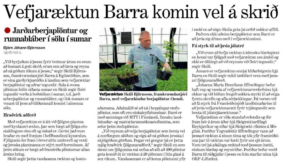 Vefjaræktun Barra komin vel af stað