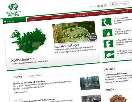 Til úrslita á Íslensku vefverðlaununum