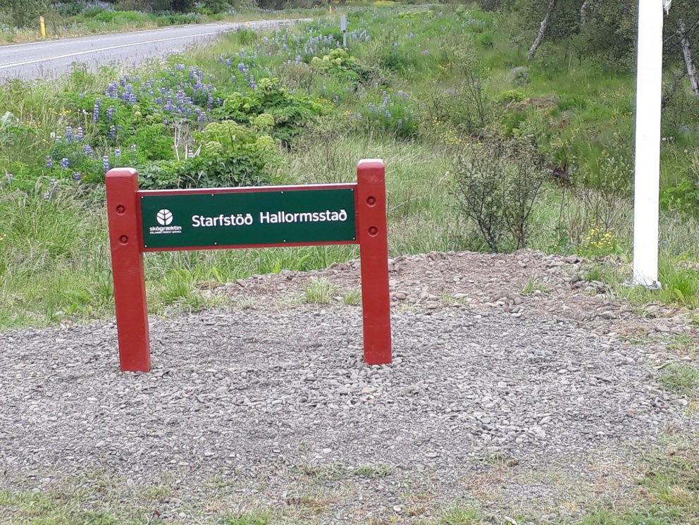 Skilti í Hallormsstaðaskógi hafa nú öll verið uppfærð í samræmi við Skiltahandbók Skógræktarinnar. L…