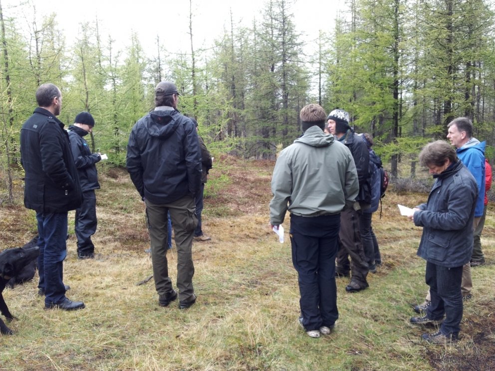 Endurnýjanleg orka rædd