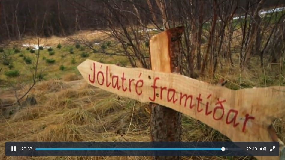 „Við eigum bara að sjá um þetta“