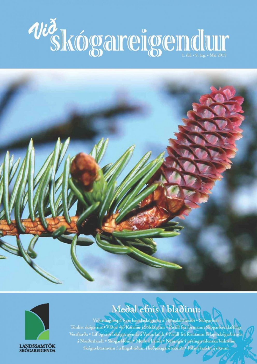 Við skógareigendur