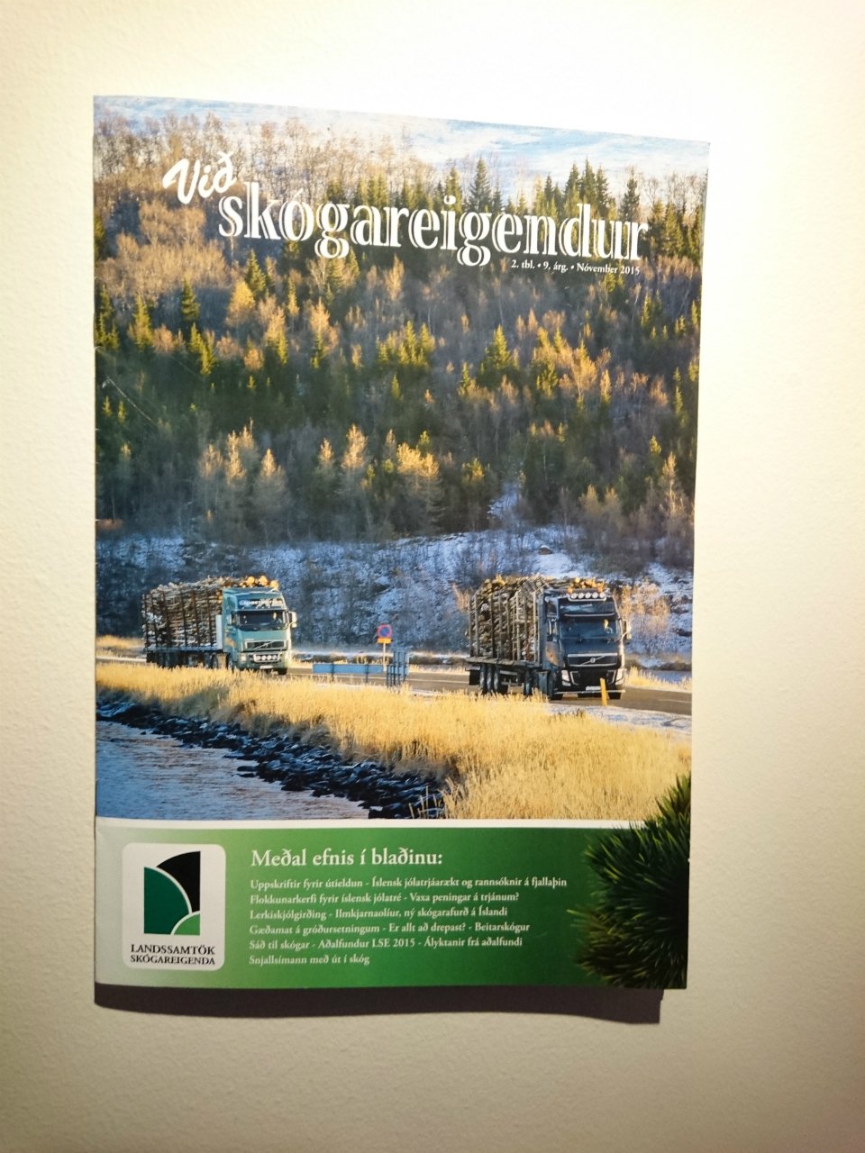 Vaxa peningar á trjánum?