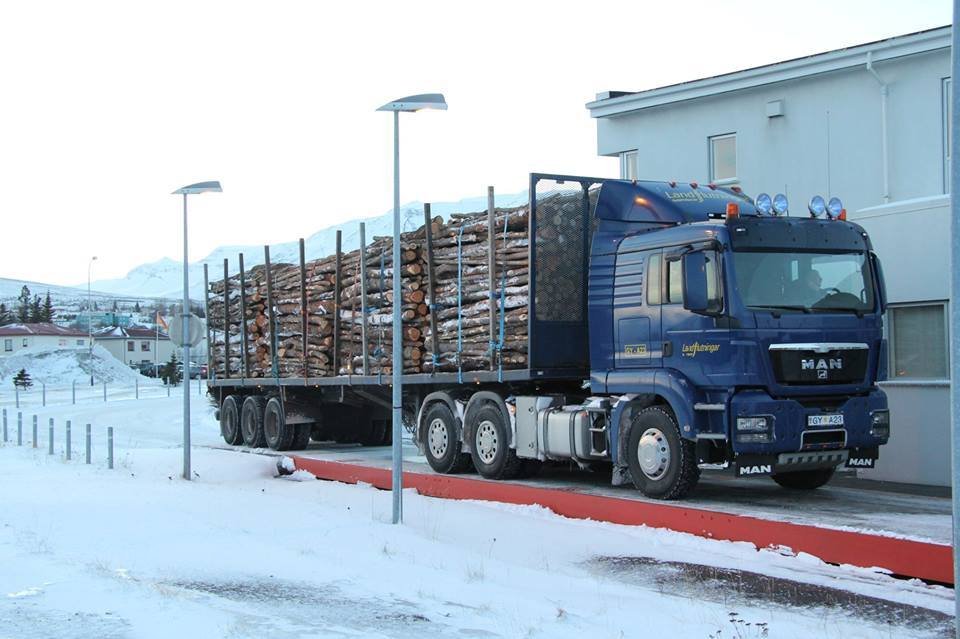 Metár í sölu viðar úr íslenskum skógum