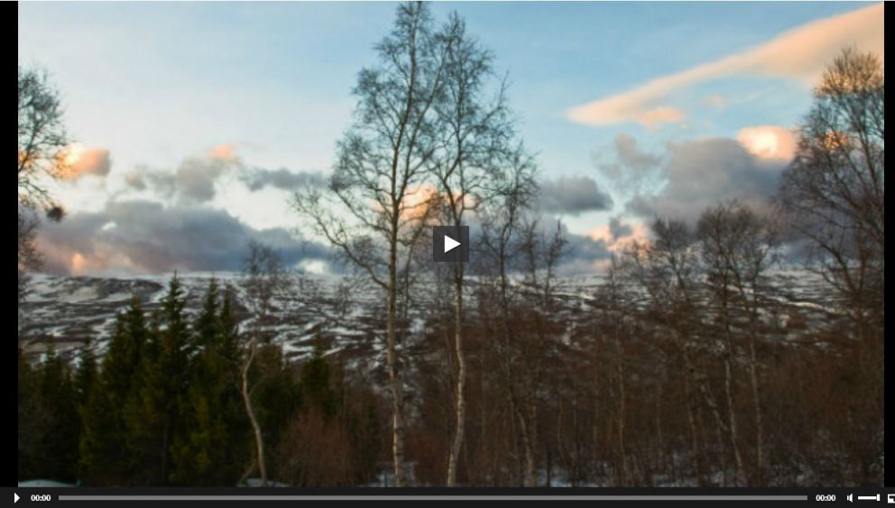 Skógarbændur fleiri en kúabændur