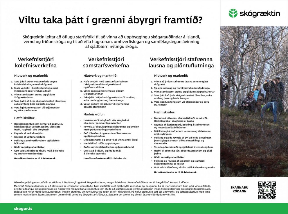 Spennandi störf auglýst hjá Skógræktinni