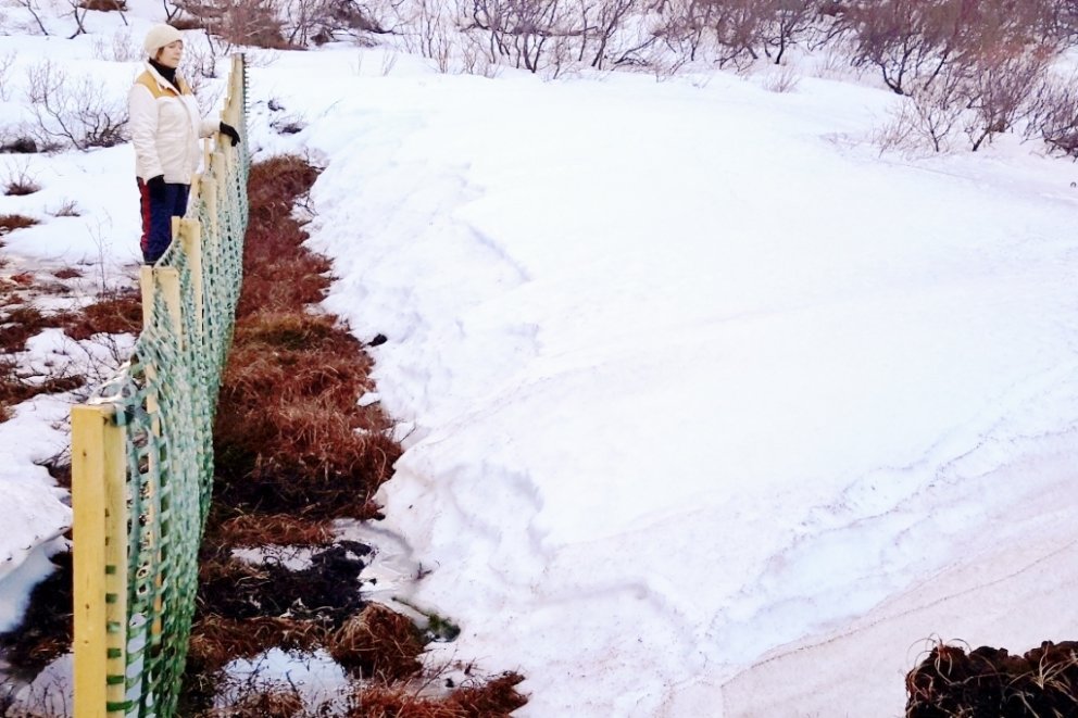 Hér sést hvernig vindbrjótur hefur áhrif á snjóalög. Myndin er tekin í Stapaseli. Efnið er políetíle&hellip;